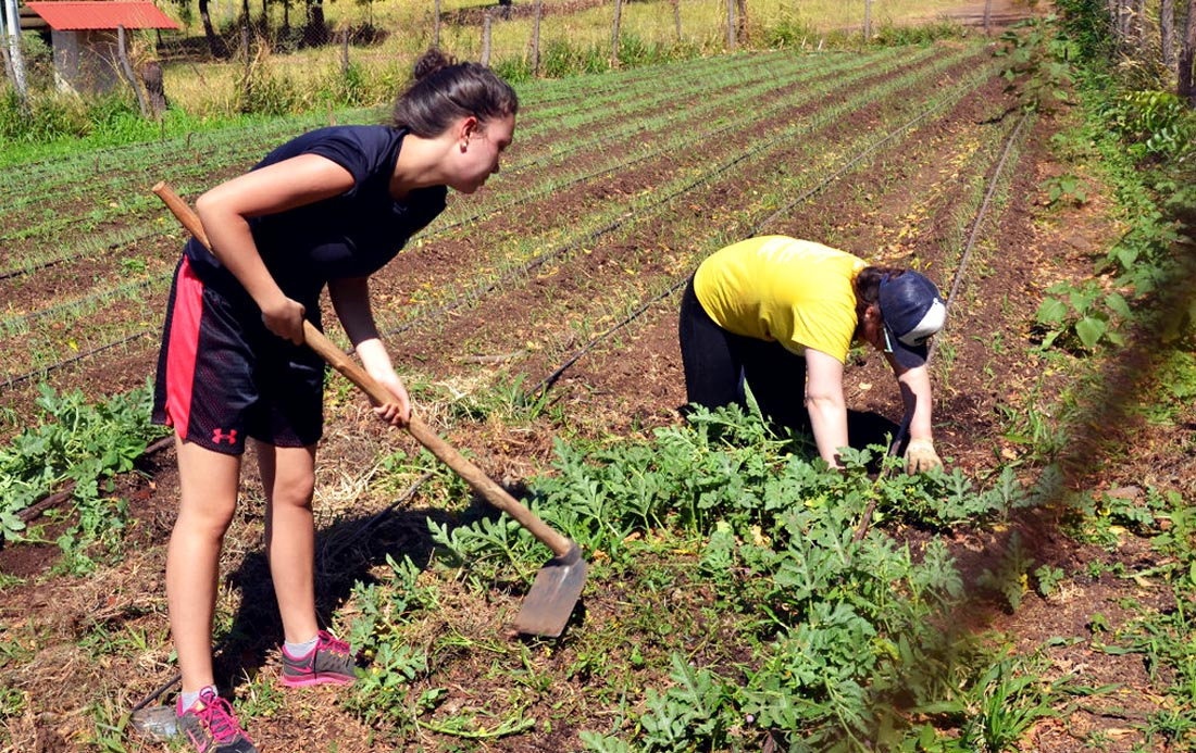 volunteer tilling a field